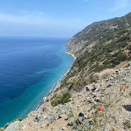 Elba's Right Spot * マリーナ・ディ・カンポ
