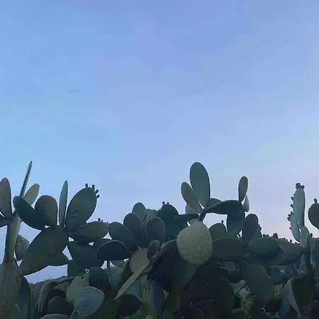 Elba's Right Spot Marina di Campo