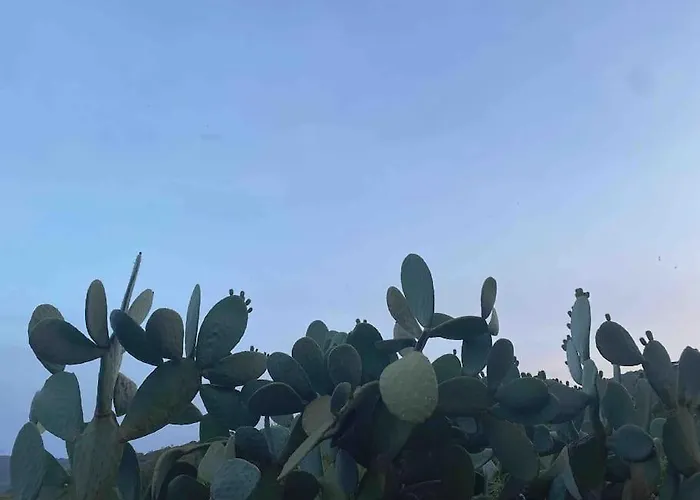 Elba's Right Spot Marina di Campo