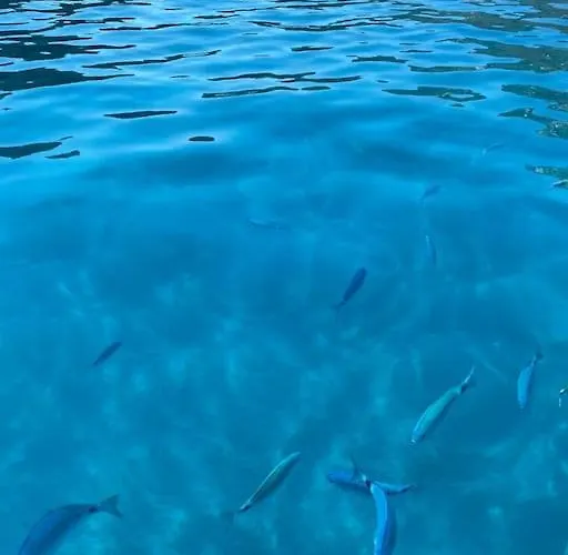 Hébergement de vacances Elba's Right Spot